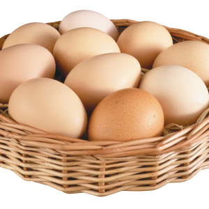 Egg PNG image