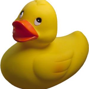 Rubber duck PNG