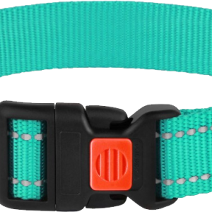 Dog collar PNG
