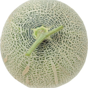 Melon PNG