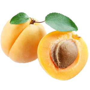 Apricot PNG