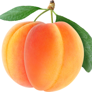 big apricots PNG