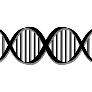 DNA PNG
