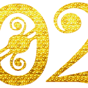 2022 year PNG