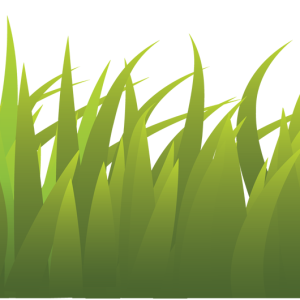 grass png image, green grass PNG picture