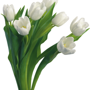 Bouquet flowers PNG