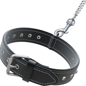 Dog collar PNG