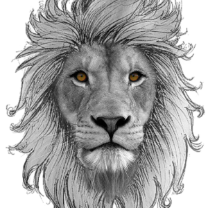 Leo zodiac PNG