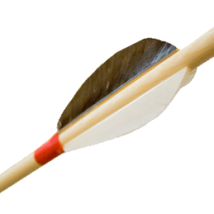 Arrow bow PNG