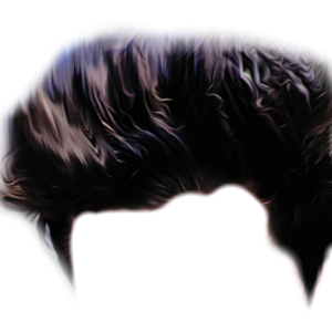 Hair wig PNG