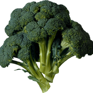 Broccoli PNG
