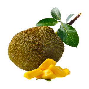 Jackfruit PNG