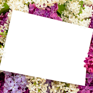 Floral frame PNG
