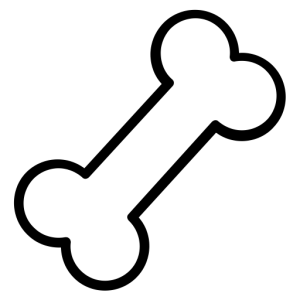 Bone PNG