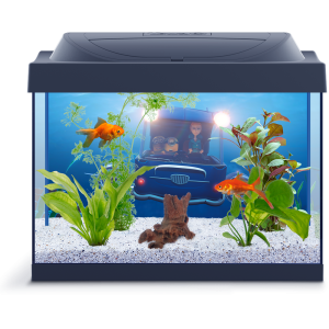 Aquarium PNG