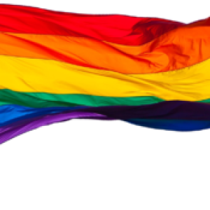 LGBT flag PNG