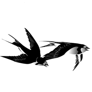 Swallows PNG