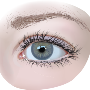 Eye PNG