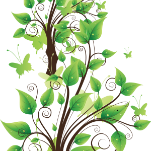 tree png image