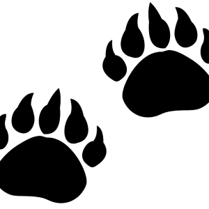 Paw PNG