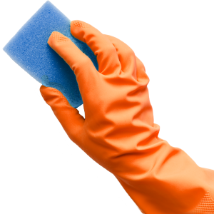 washing sponge in hand PNG