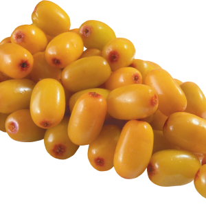 Sea buckthorn PNG
