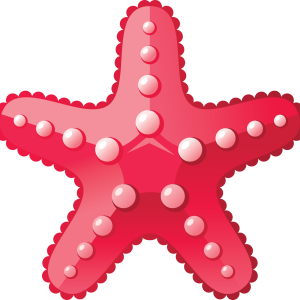 Starfish PNG