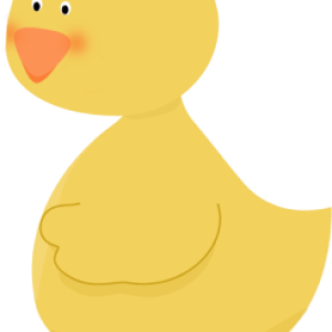 Rubber duck PNG