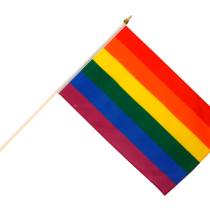 LGBT flag PNG