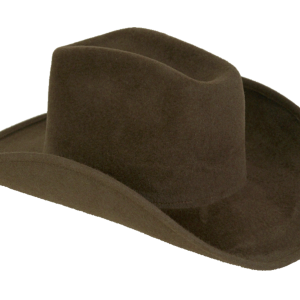 Cowboy hat PNG
