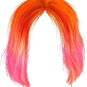 Hair wig PNG