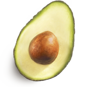 cut green avocado PNG