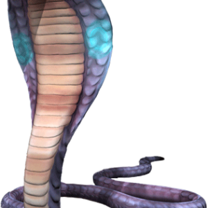 Cobra PNG
