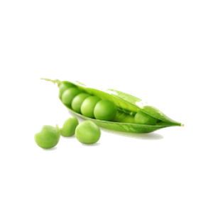 Pea PNG