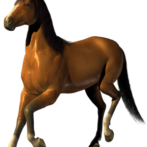 horse png image, free download picture, transparent background