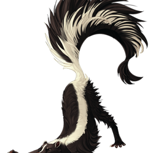 Skunk PNG