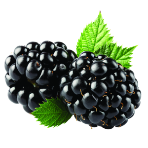 Blackberry PNG