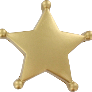 Sheriff badge PNG