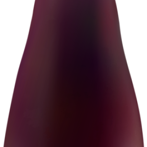 Eggplant PNG