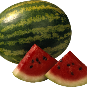 watermelon PNG image