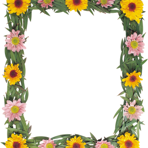 Floral frame PNG