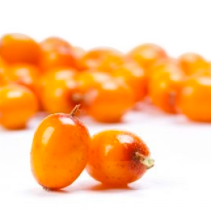 Sea buckthorn PNG