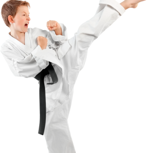 Karate PNG