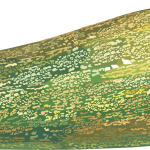 marrow PNG
