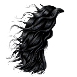 Hair wig PNG