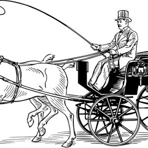 Carriage PNG