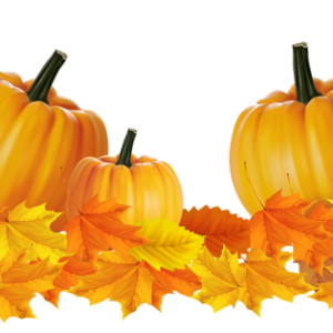 Pumpkin PNG
