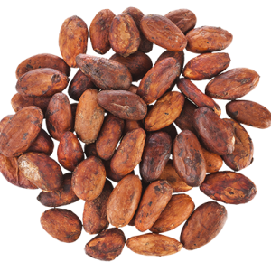 Cacao PNG