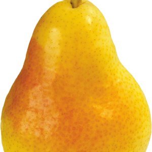 Pear PNG image