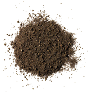 Soil PNG